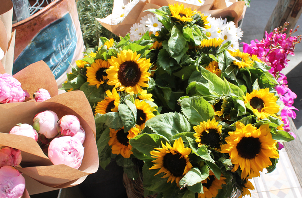 The Grounds of Alexandria 7